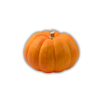 Pumpa Halloween 3-8kg