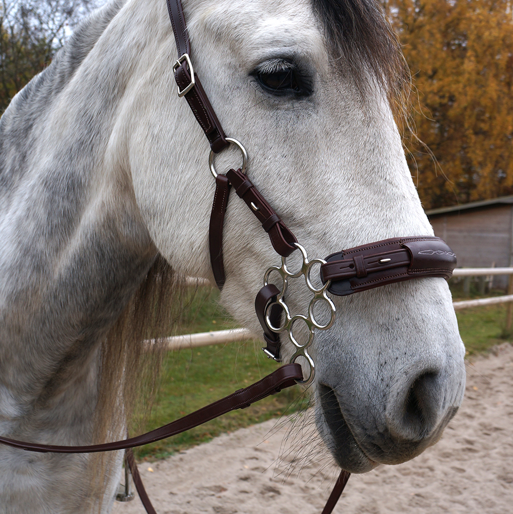 Hackamore shanks - F.R.A® Flower Large, silver - 2