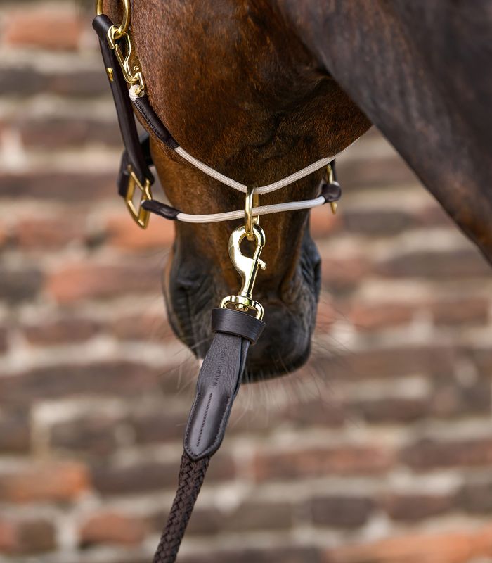 Grimma Waldhausen Royal med löpande ring - 2