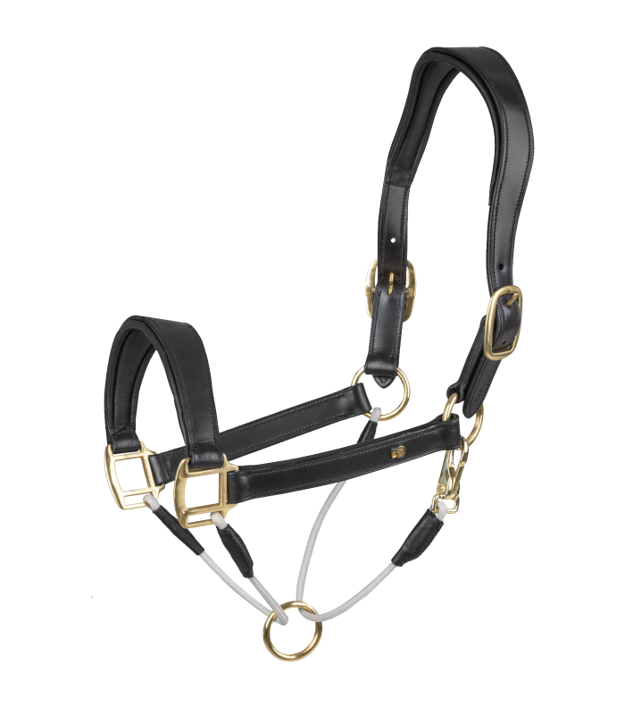 Grimma Waldhausen Royal med löpande ring