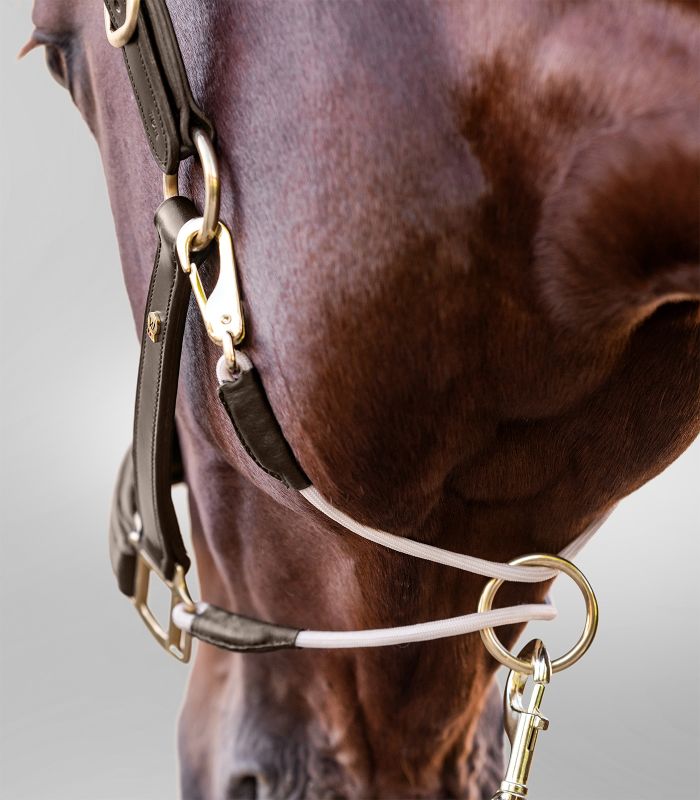 Grimma Waldhausen Royal med löpande ring - 4