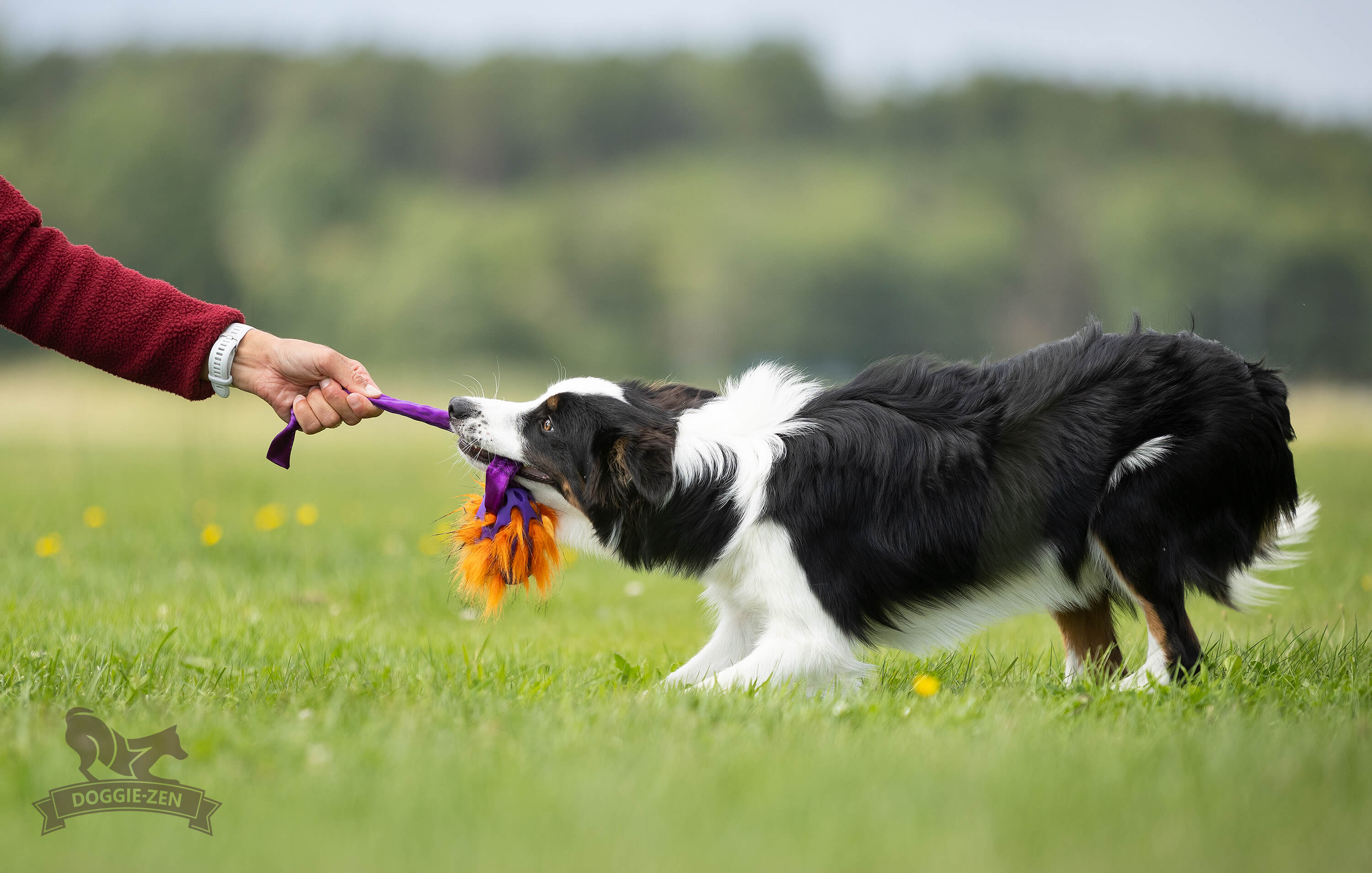 Bungee Knot Tug L with Hol-ee Football + Fake Fur Filling - 5