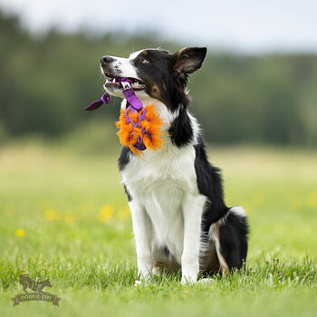 Bungee Knot Tug L with Hol-ee Football + Fake Fur Filling