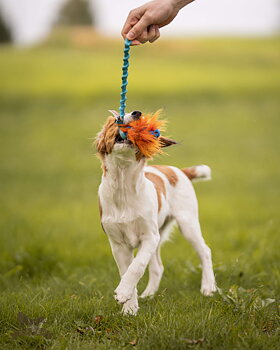 Bungee Knot Tug S with Hol-ee Football + Fake Fur Filling