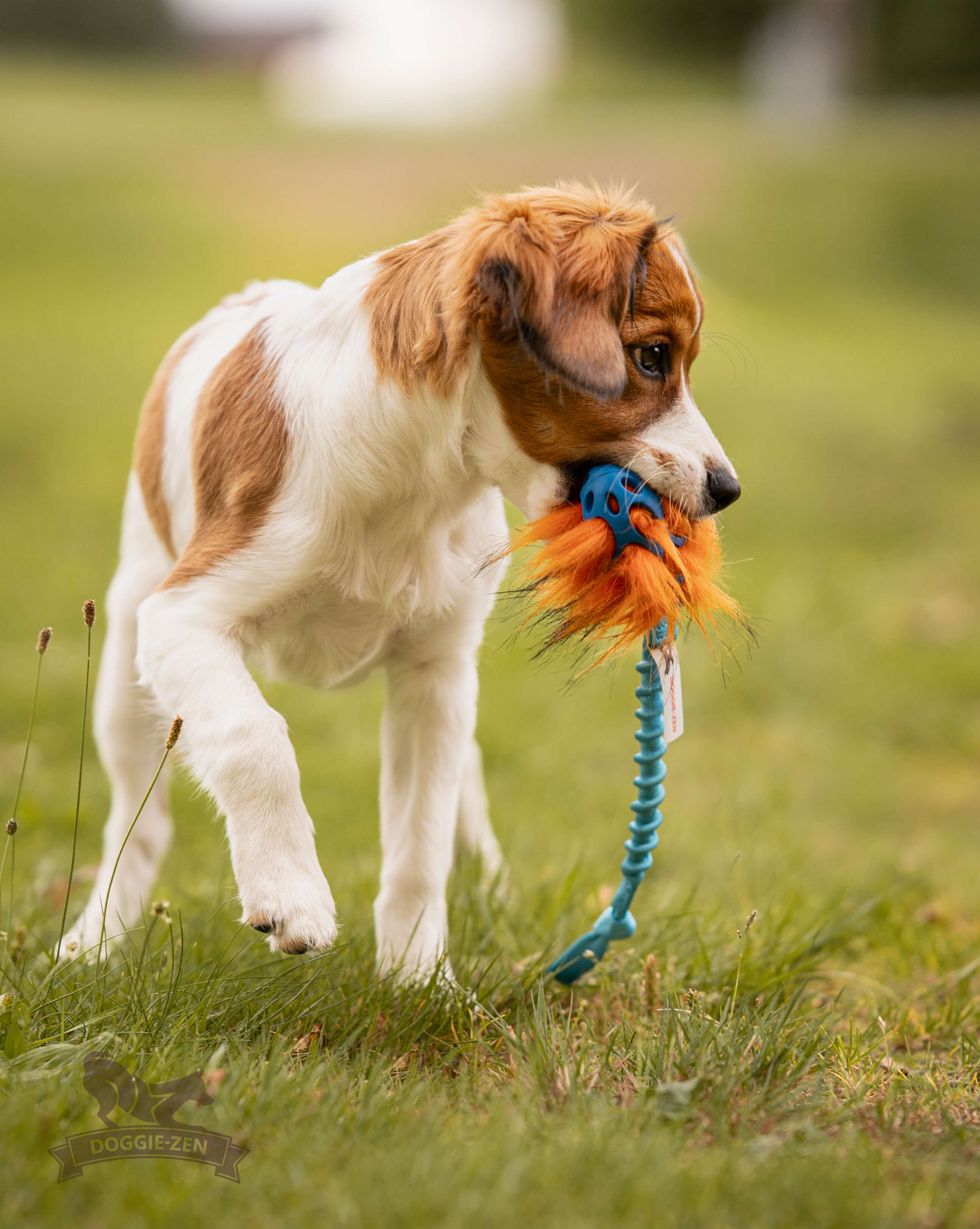 Bungee Knot Tug S with Hol-ee Football + Fake Fur Filling - 4