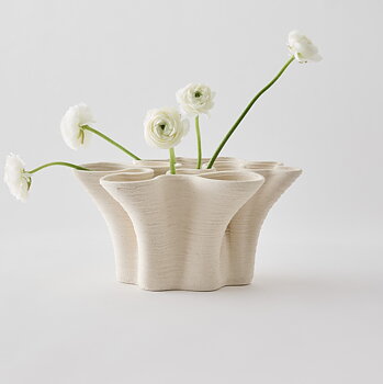 Vas Fiordo, Small