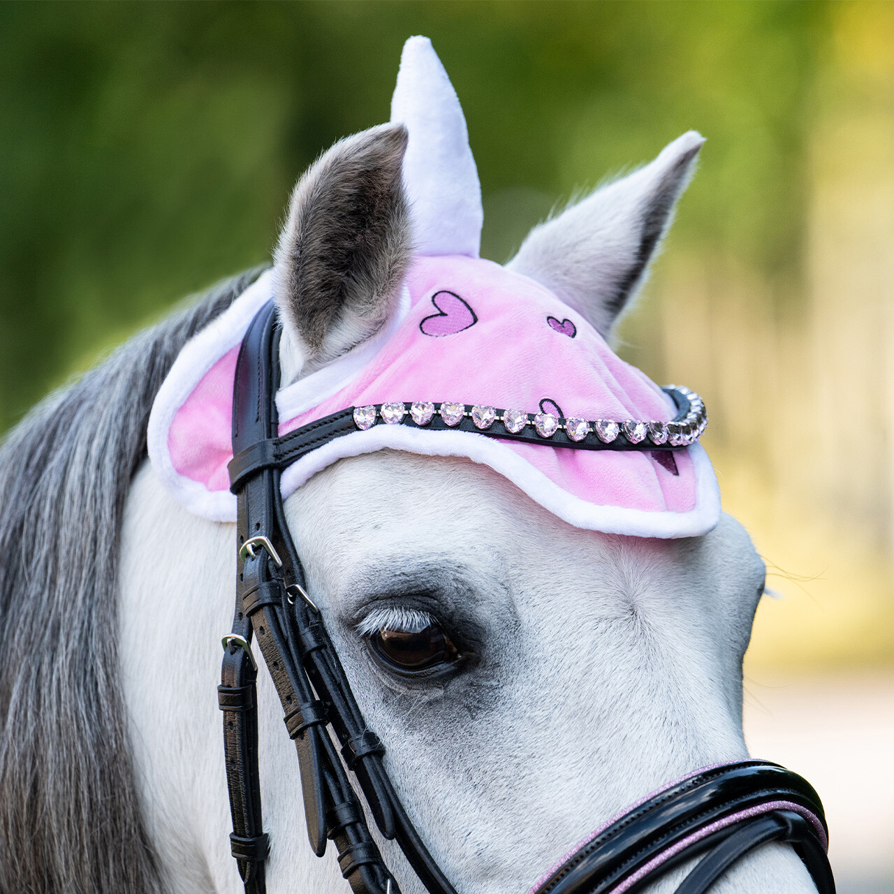 Enhörnings huva