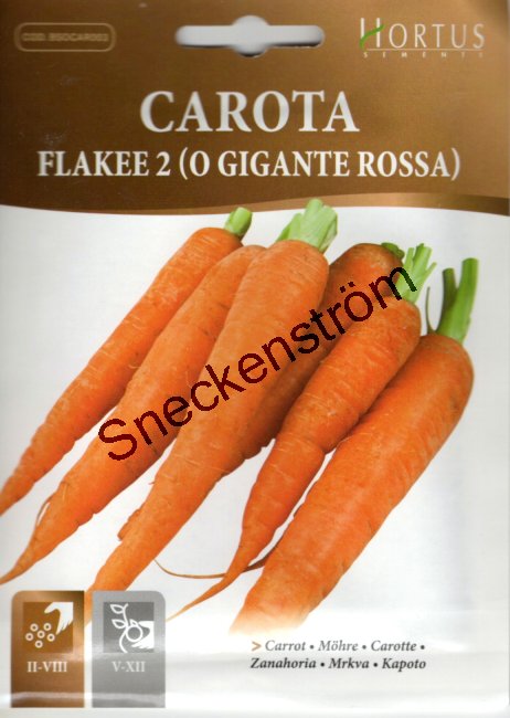 Morot "Flakee 2 (Gigante Rossa)"