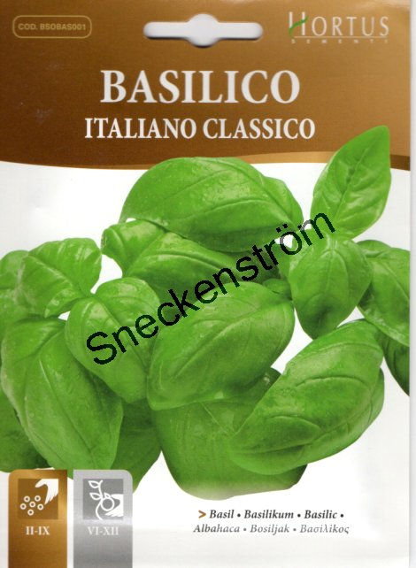 Basilika Italiano Classico