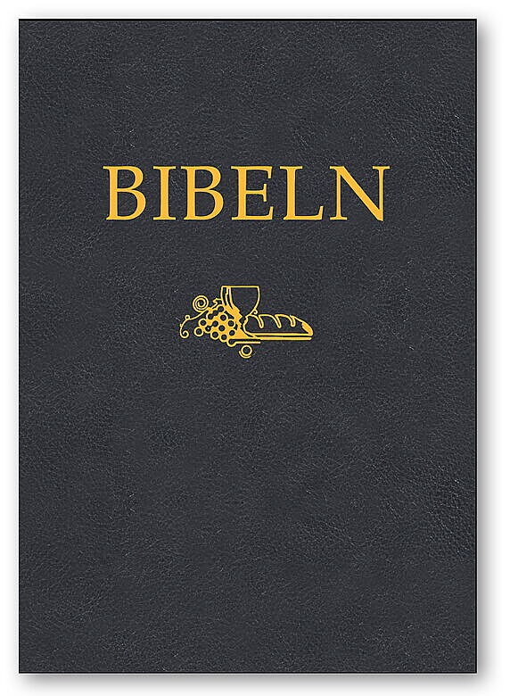 Bibeln Svenska Folkbibeln 98 Storformat svart cabraskinn