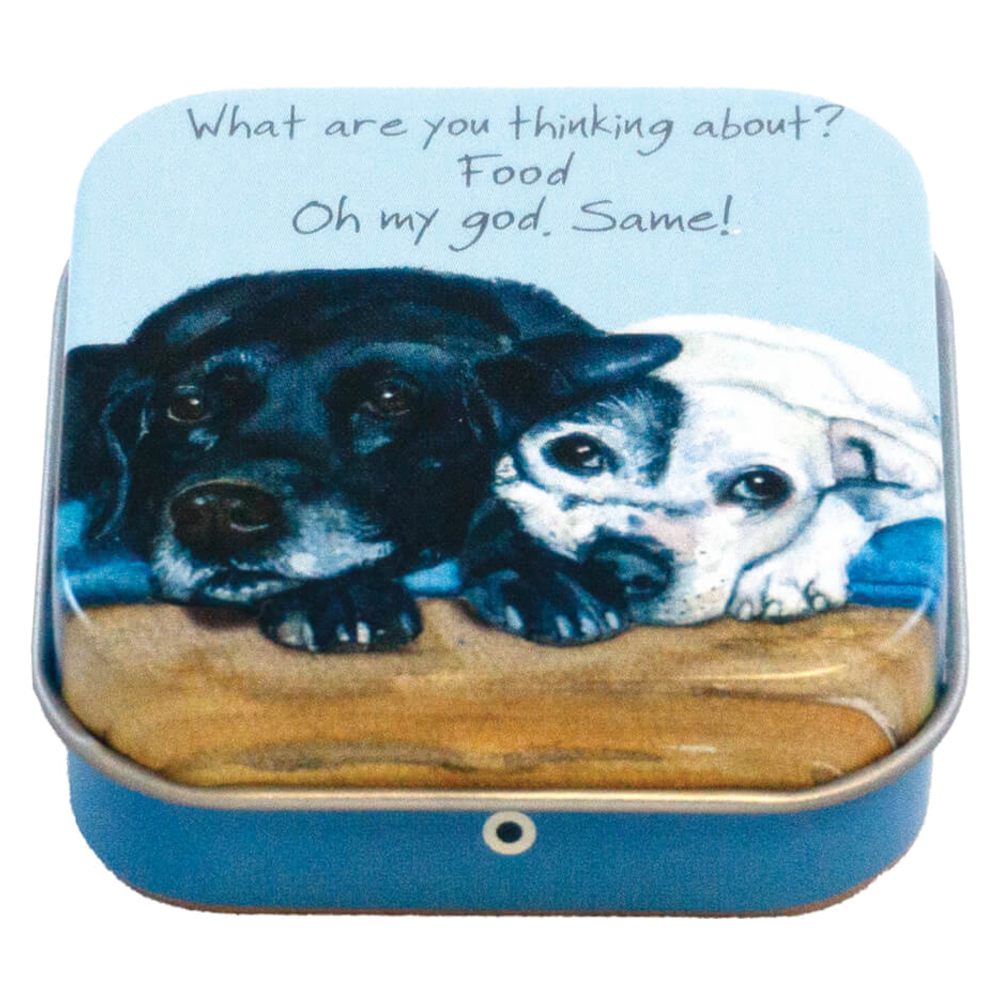 Plåtask The Little Dog Laughed Hundmotiv Labradors