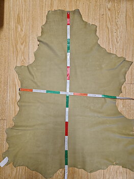 Kollektionsskinn Nr 6 Renmocka Fg Gul