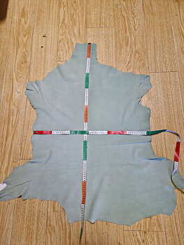 Kollektionsskinn Nr 1 Renmocka Fg Mintgrön