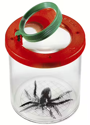 Insektsburk, Lupp - Kalikå