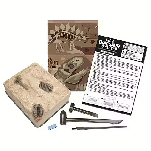 Kidz Labs Brachiosaurus Skeleton - Kalikå - 2