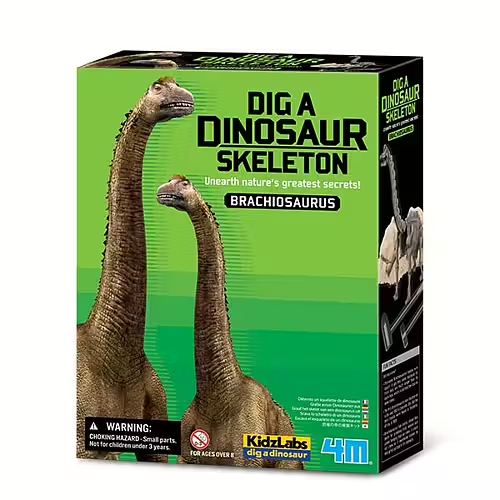 Kidz Labs Brachiosaurus Skeleton - Kalikå