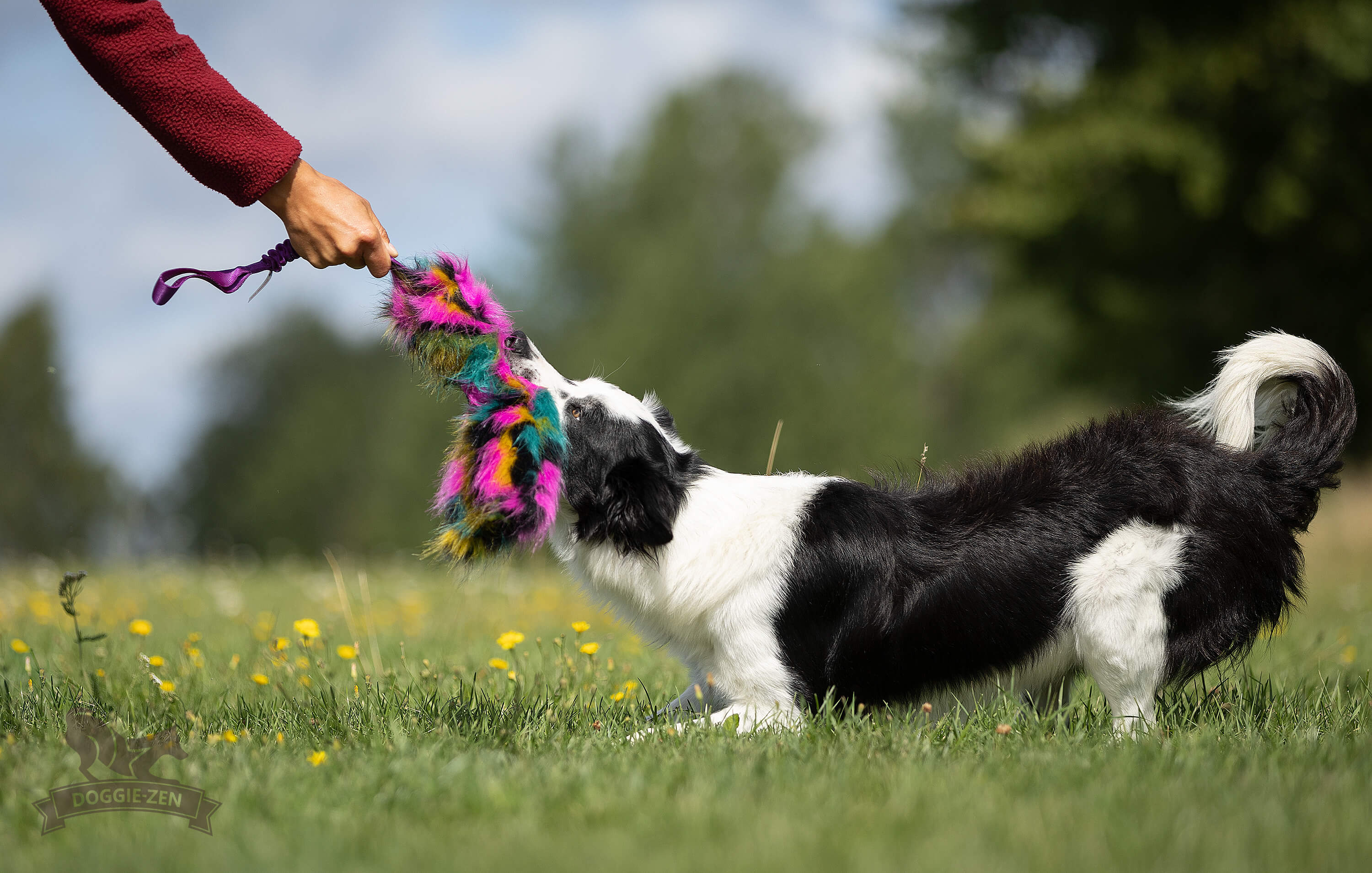Bungee Crinkle Tug L - 10