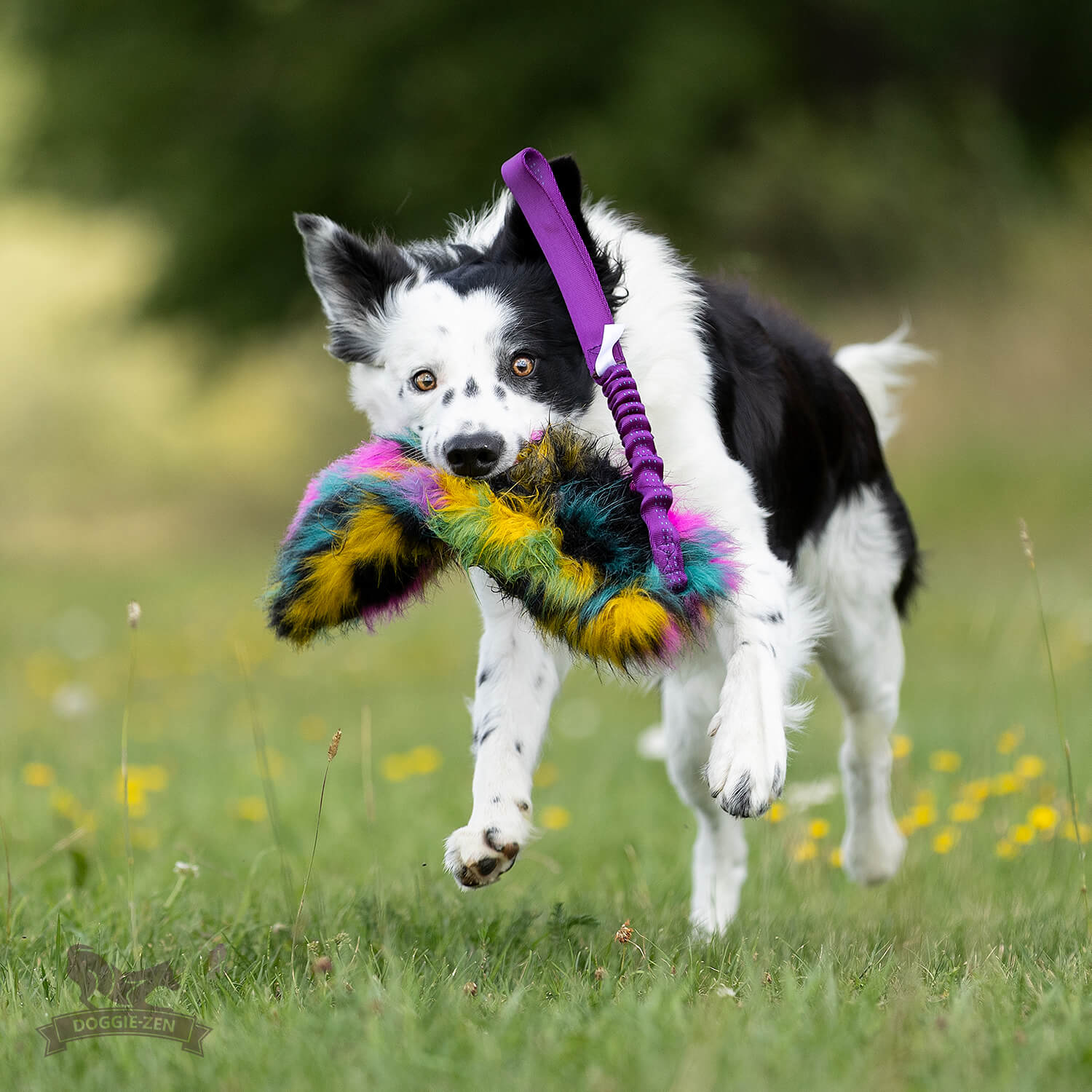 Bungee Crinkle Tug L - 4