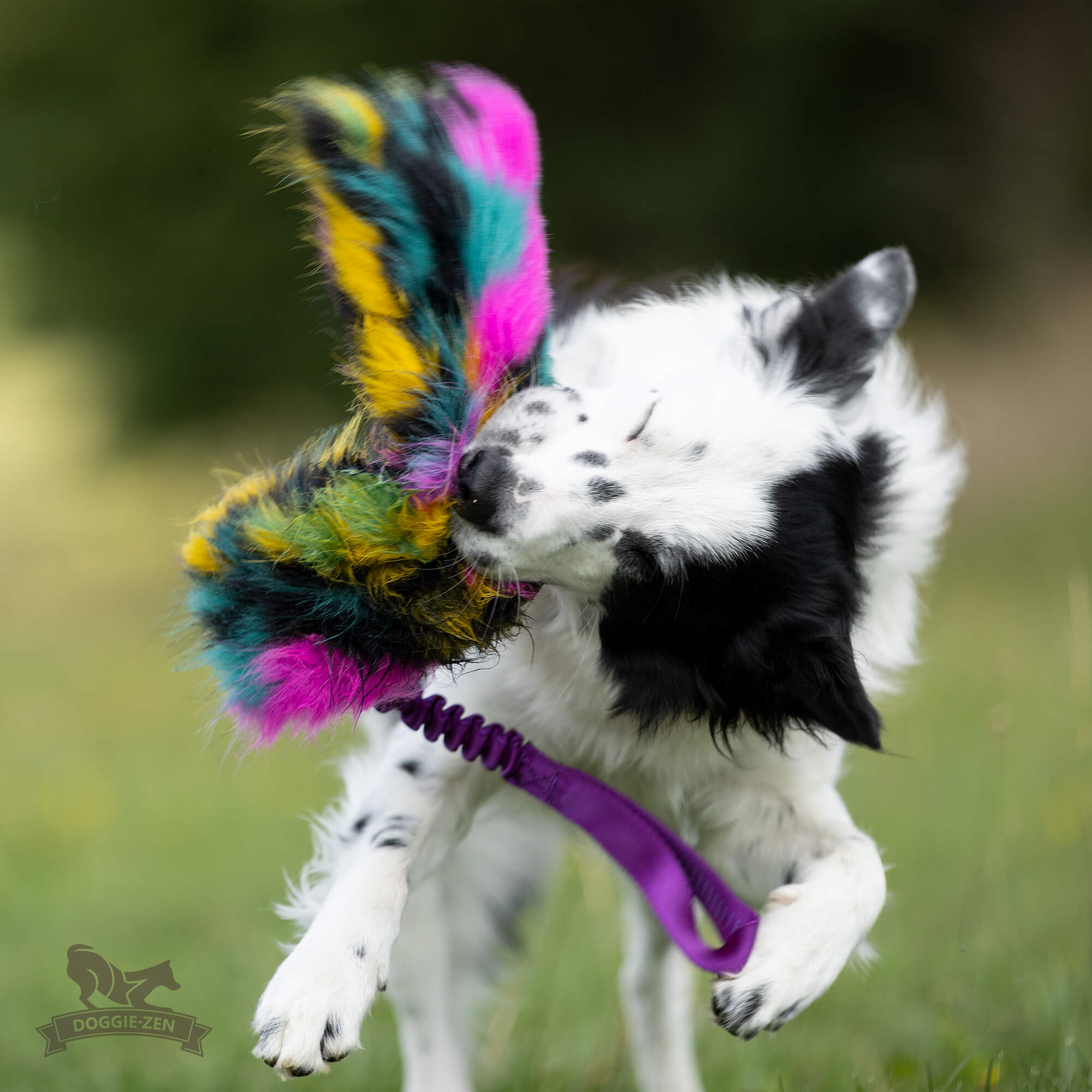 Bungee Crinkle Tug L - 7