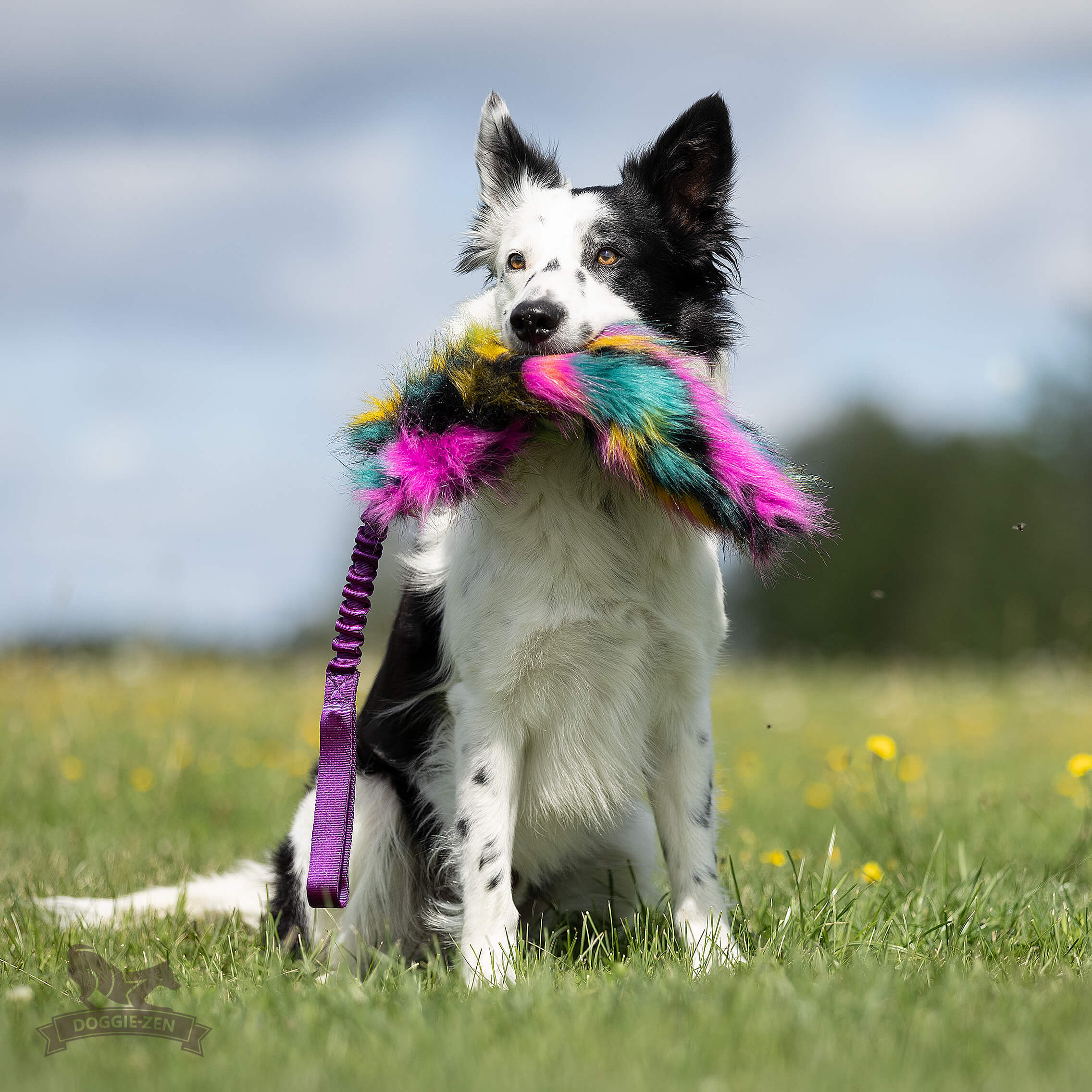 Bungee Crinkle Tug L - 13
