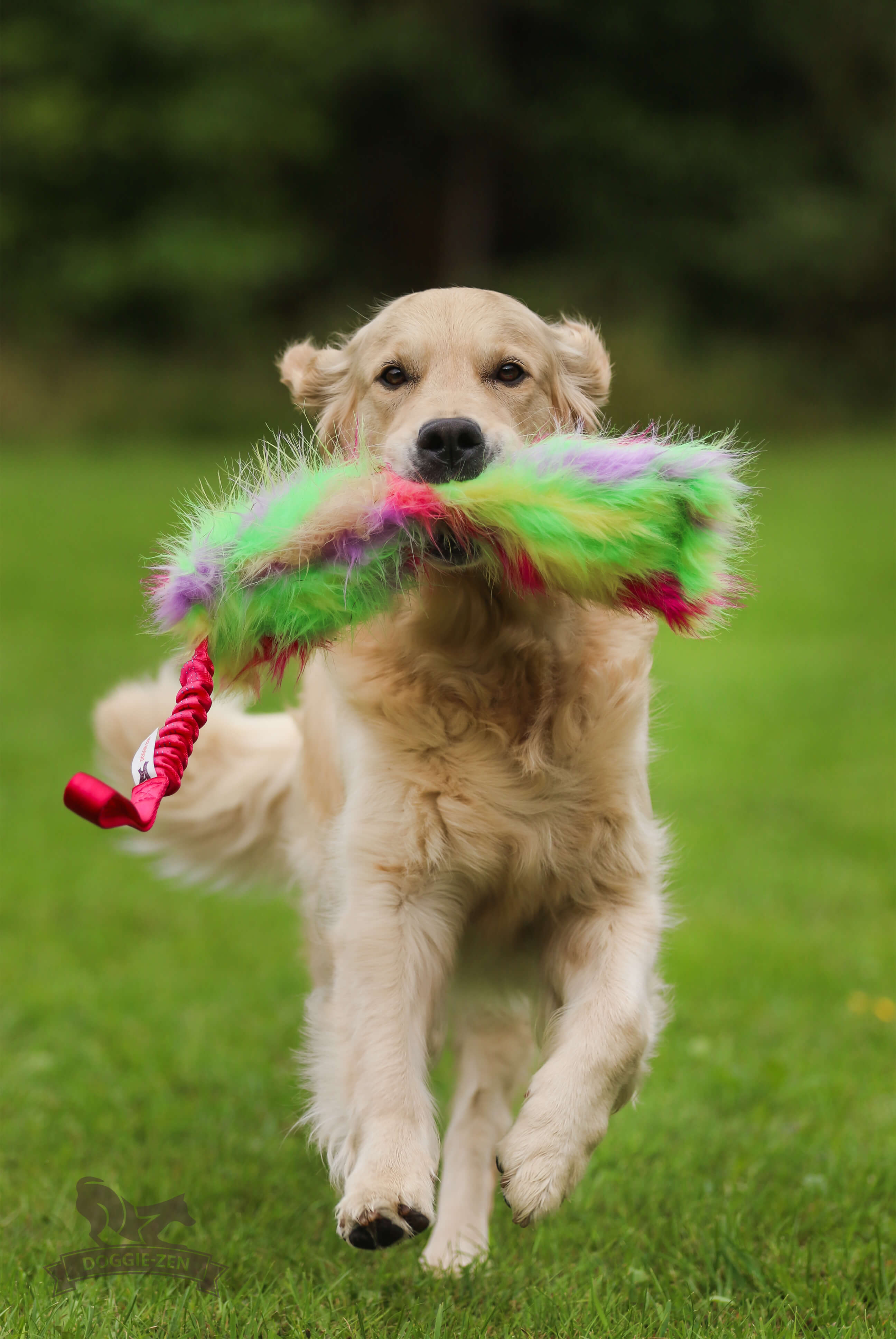 Bungee Crinkle Tug L - 9