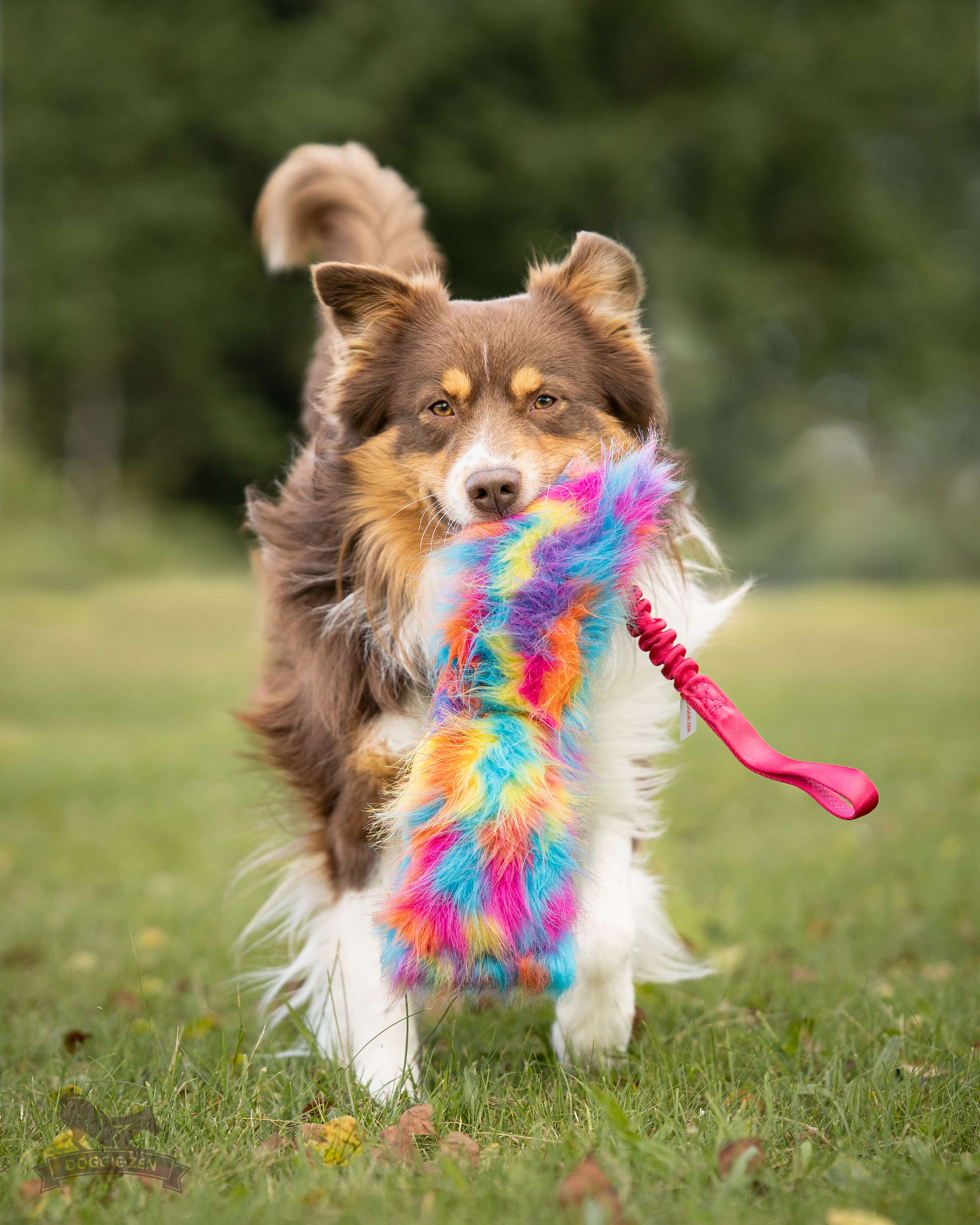 Bungee Crinkle Tug L - 2
