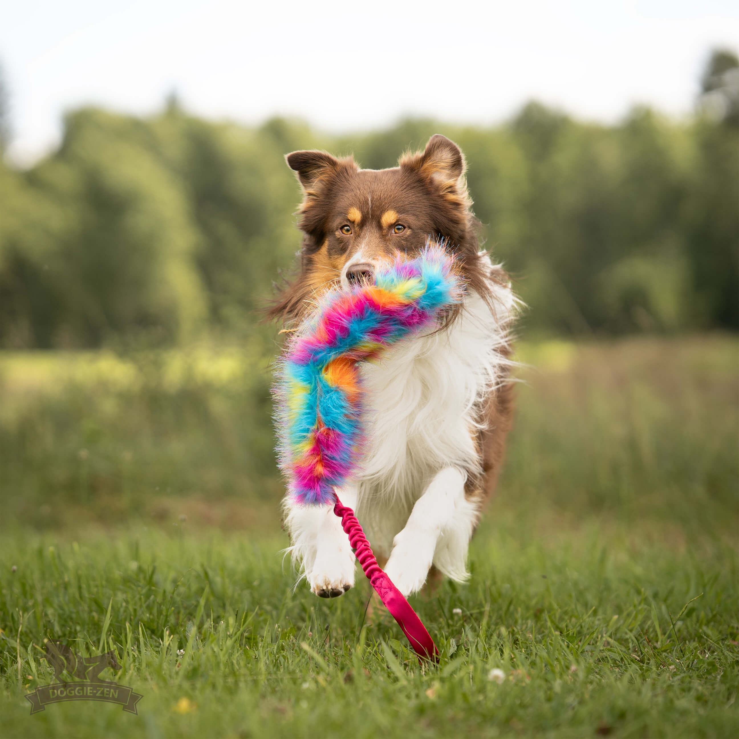 Bungee Crinkle Tug L - 8