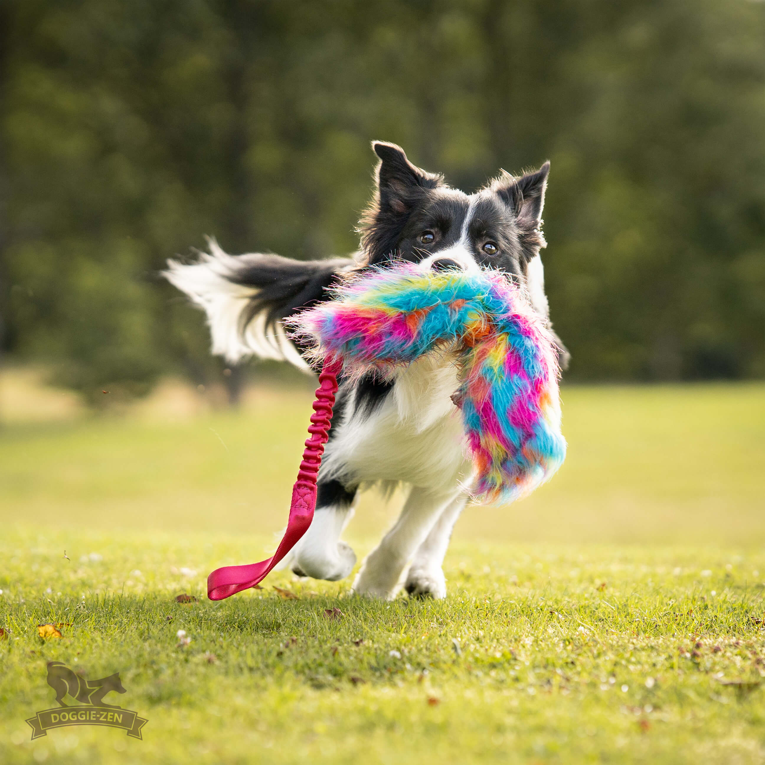 Bungee Crinkle Tug L - 5