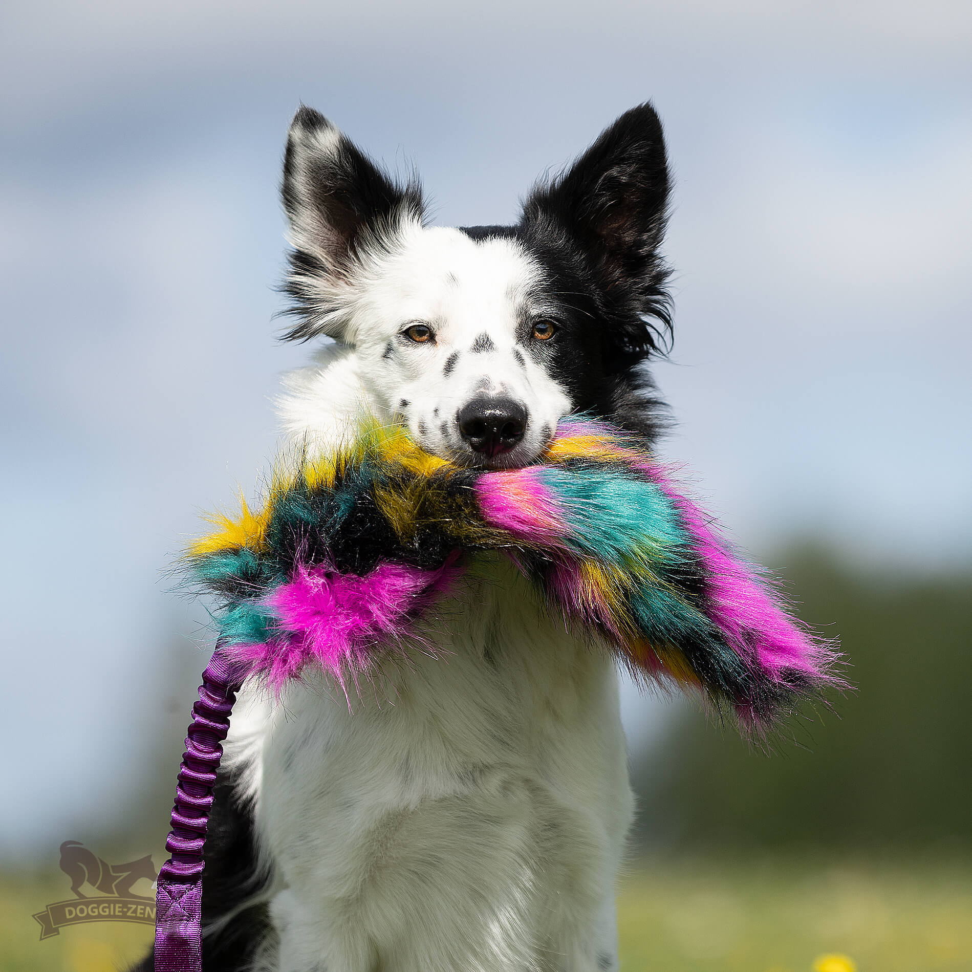 Bungee Crinkle Tug L