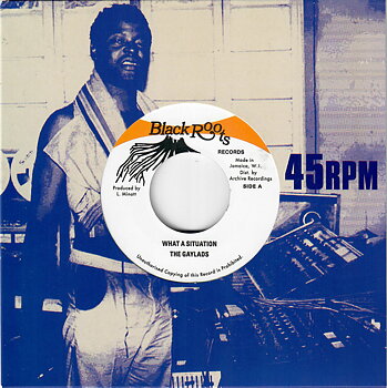 The Gaylads – What A Situation