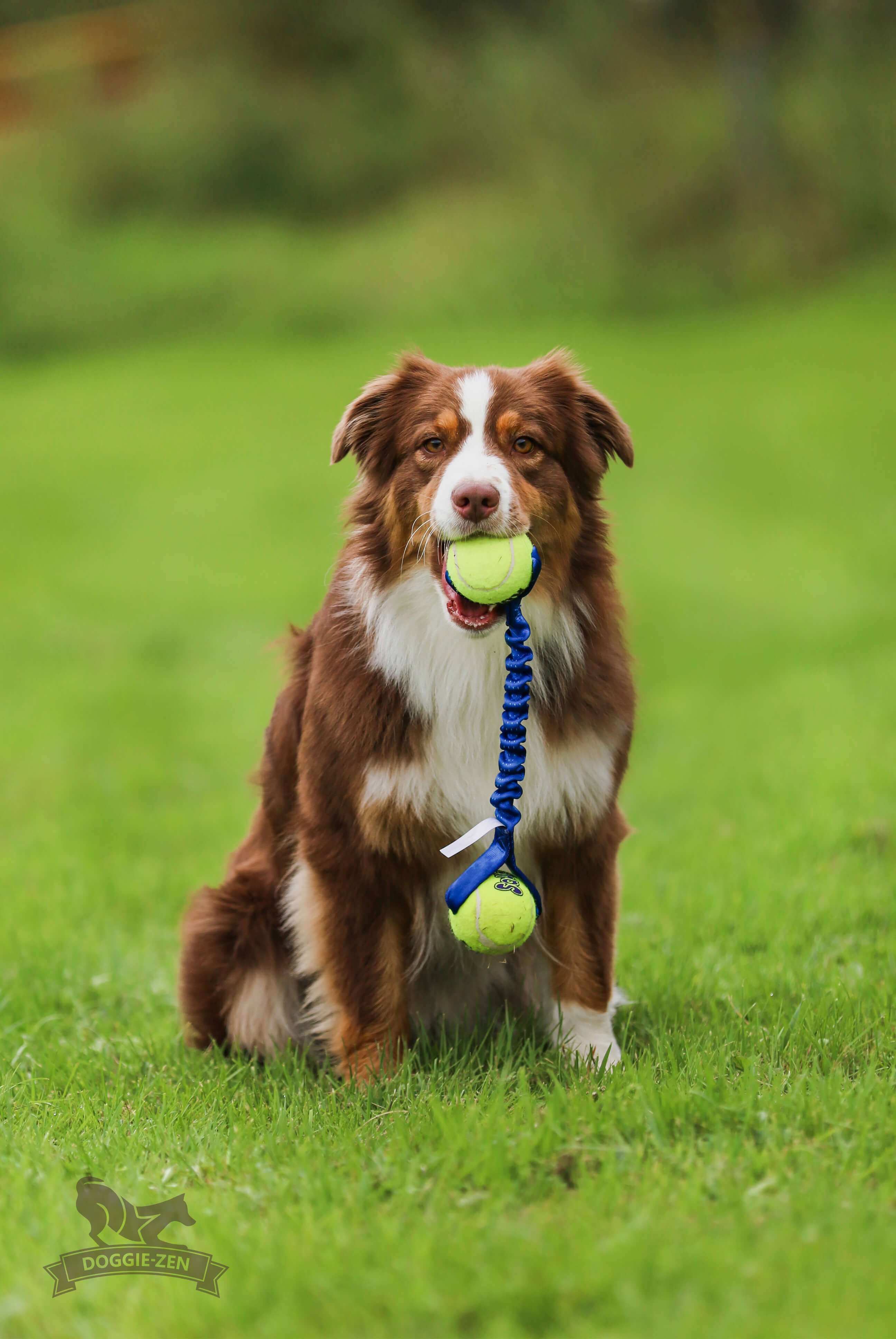 Rocket Bungee L KONG Air Squeaker Ball - 2
