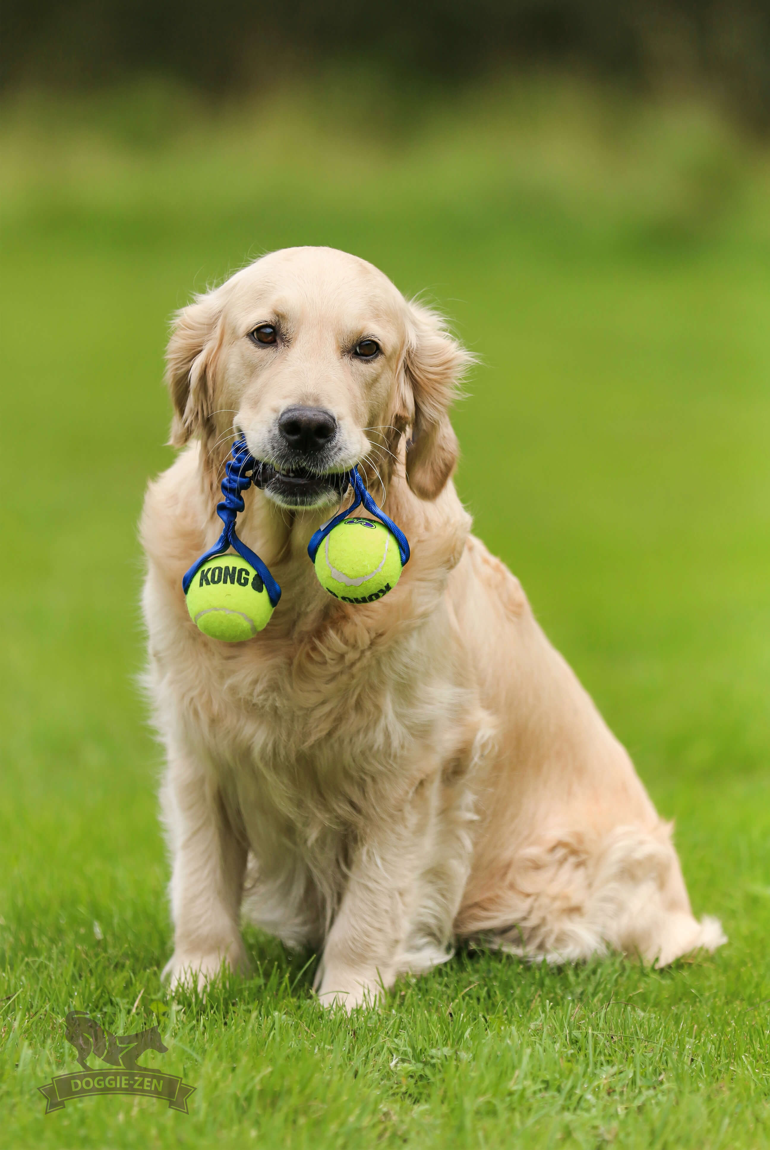 Rocket Bungee L KONG Air Squeaker Ball - 4