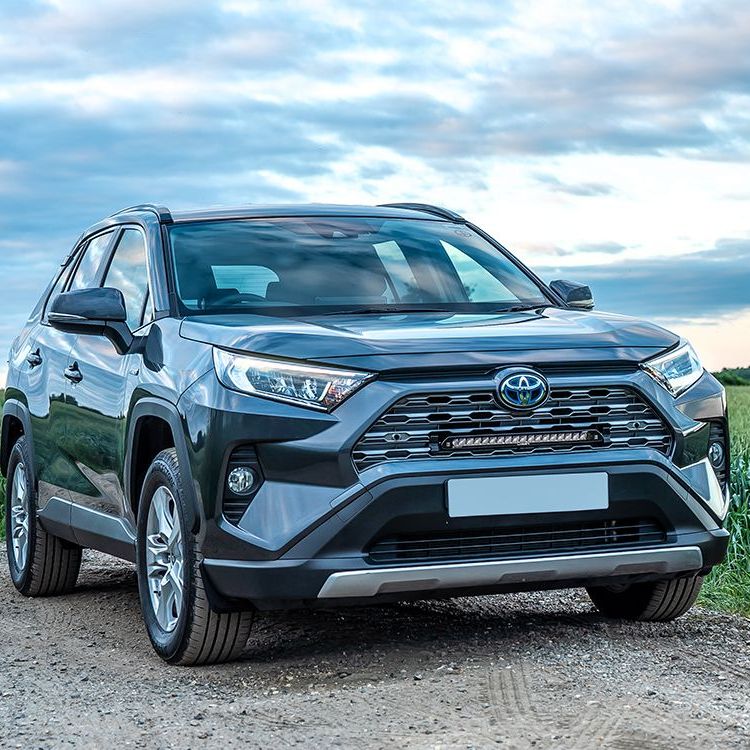 Toyota RAV4 Hybrid 2019-2021 Grille Kit - Linear 18 Elite I-LBA