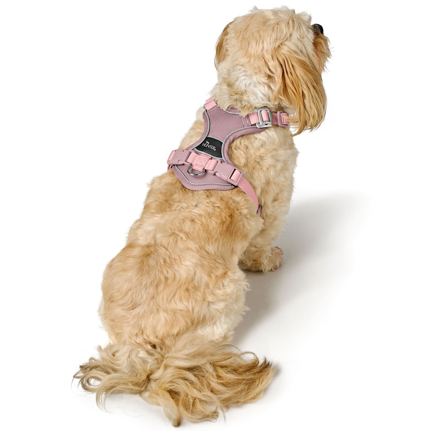 Hunter Harness Divo Up Polyester Antique Pink - various sizes - 5
