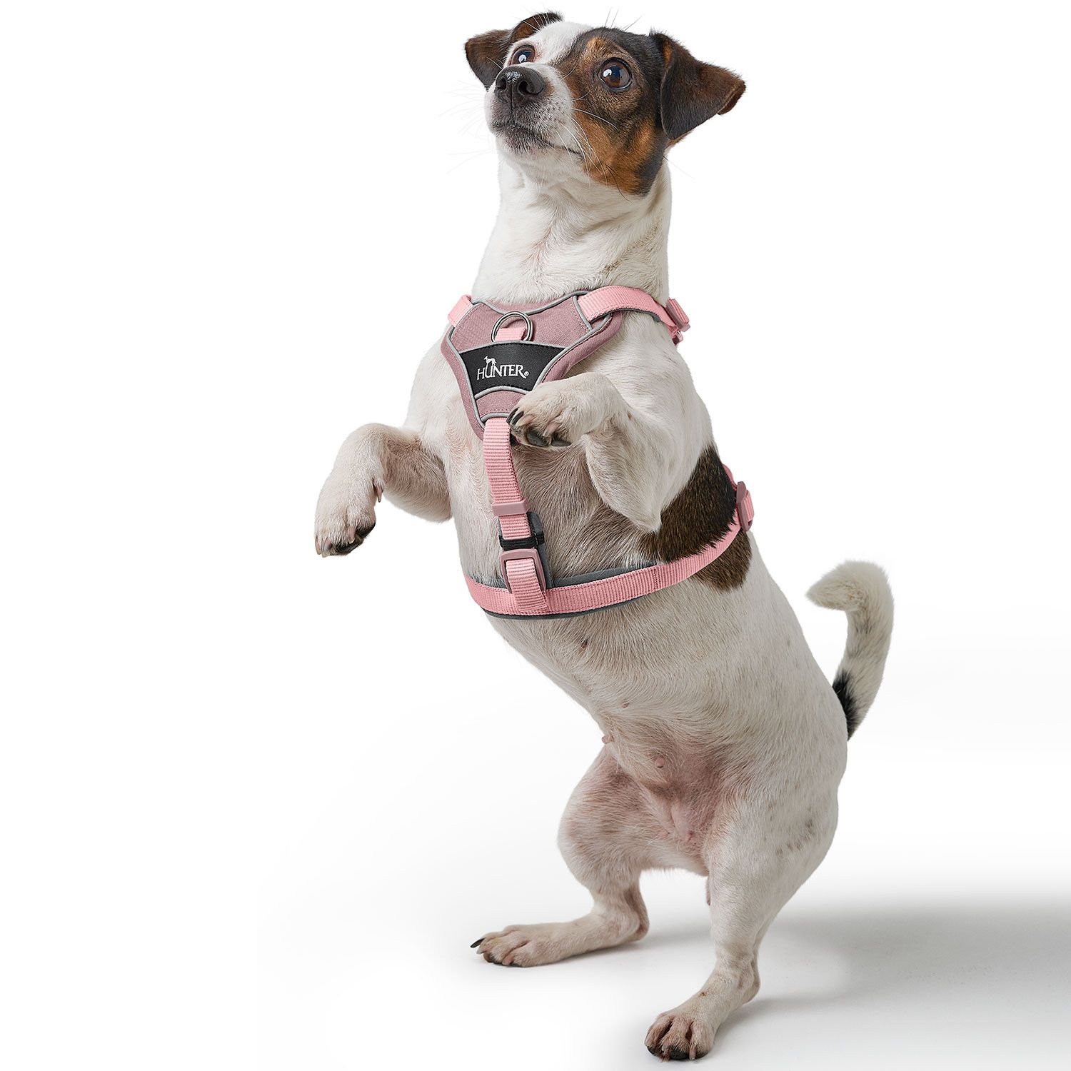 Hunter Harness Divo Up Polyester Antique Pink - various sizes - 7