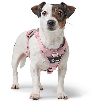 Hunter Harness Divo Up Polyester Antique Pink - various sizes