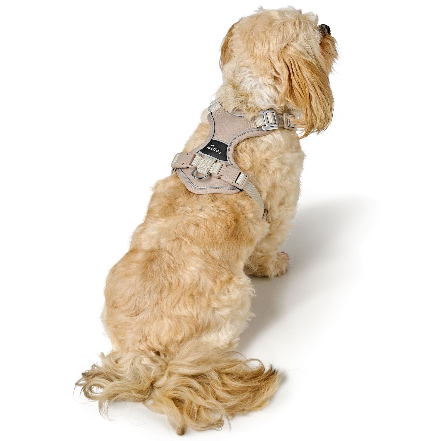 Hunter Harness Divo Up Polyester Taupe - various sizes - 6