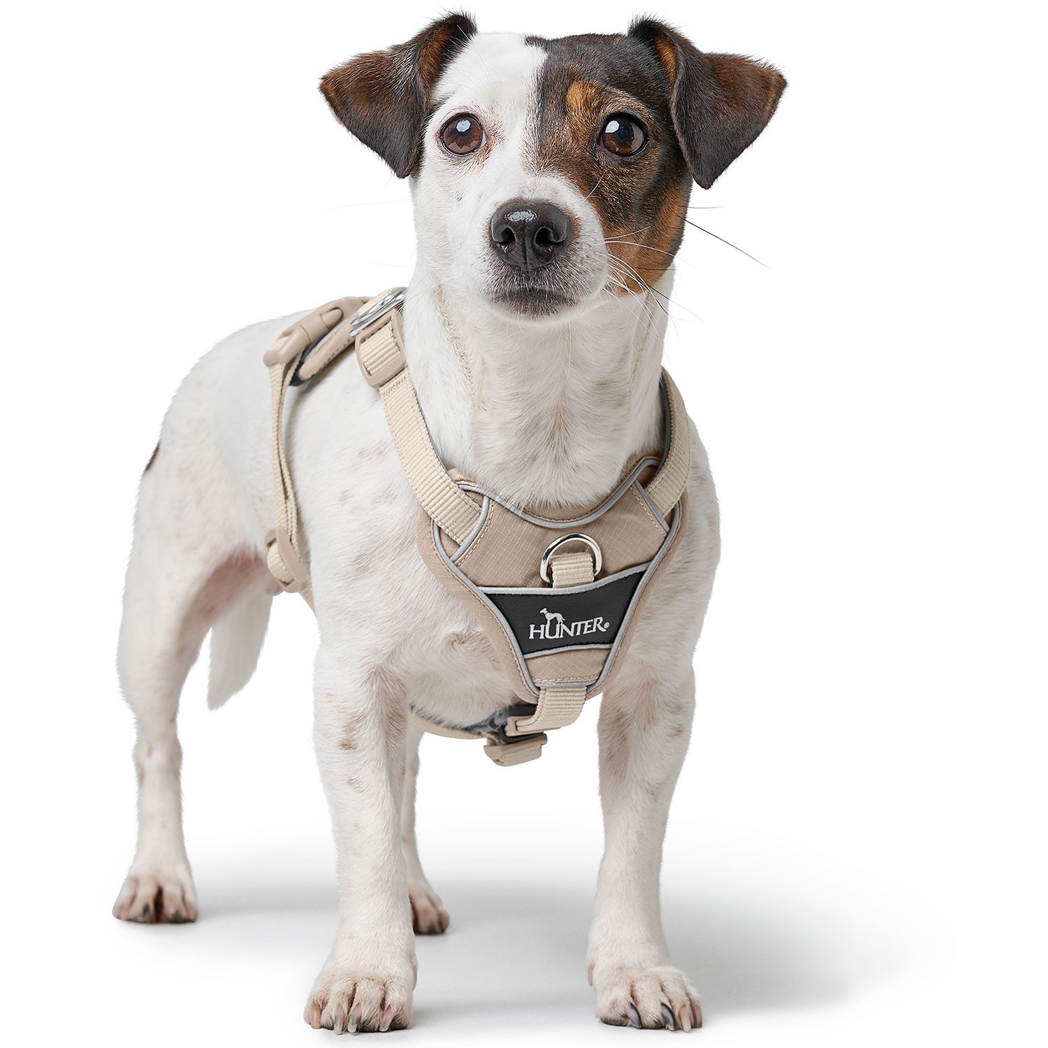 Hunter Harness Divo Up Polyester Taupe - various sizes - 7