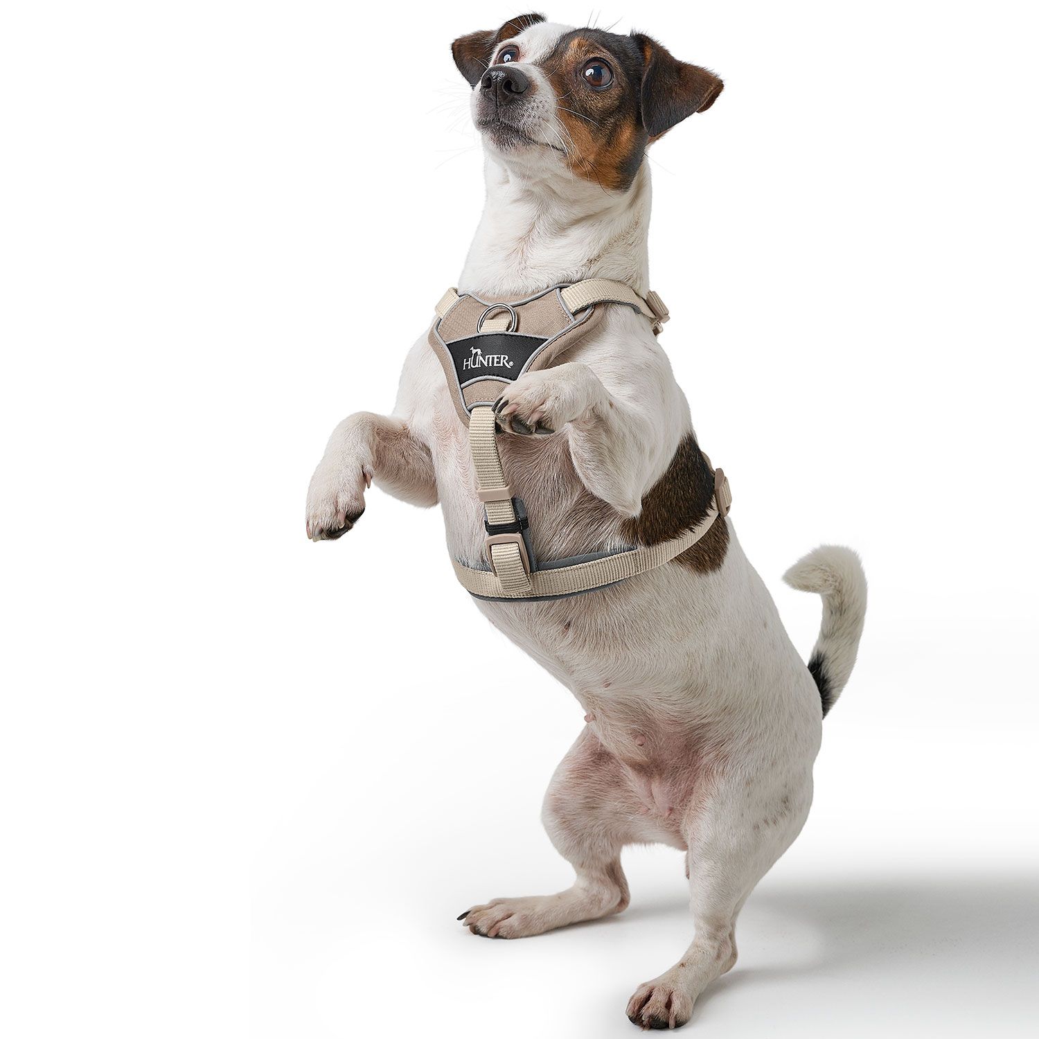 Hunter Harness Divo Up Polyester Taupe - various sizes - 9