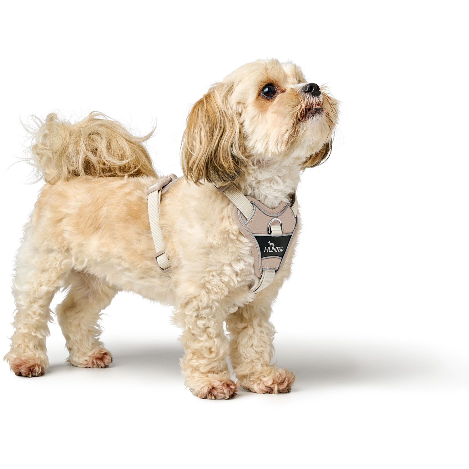 Hunter Harness Divo Up Polyester Taupe - various sizes - 2