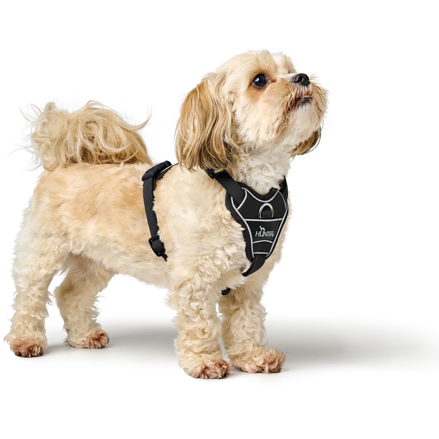 Hunter Harness Divo Up Polyester Black - various sizes - 2