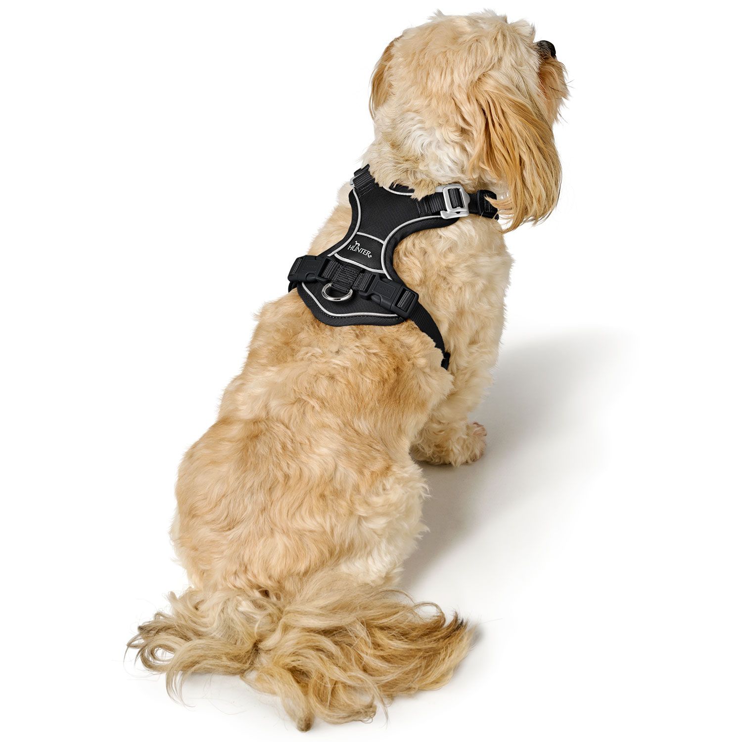 Hunter Harness Divo Up Polyester Black - various sizes - 7