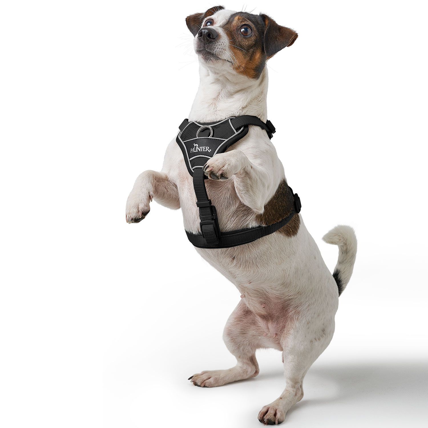 Hunter Harness Divo Up Polyester Black - various sizes - 8