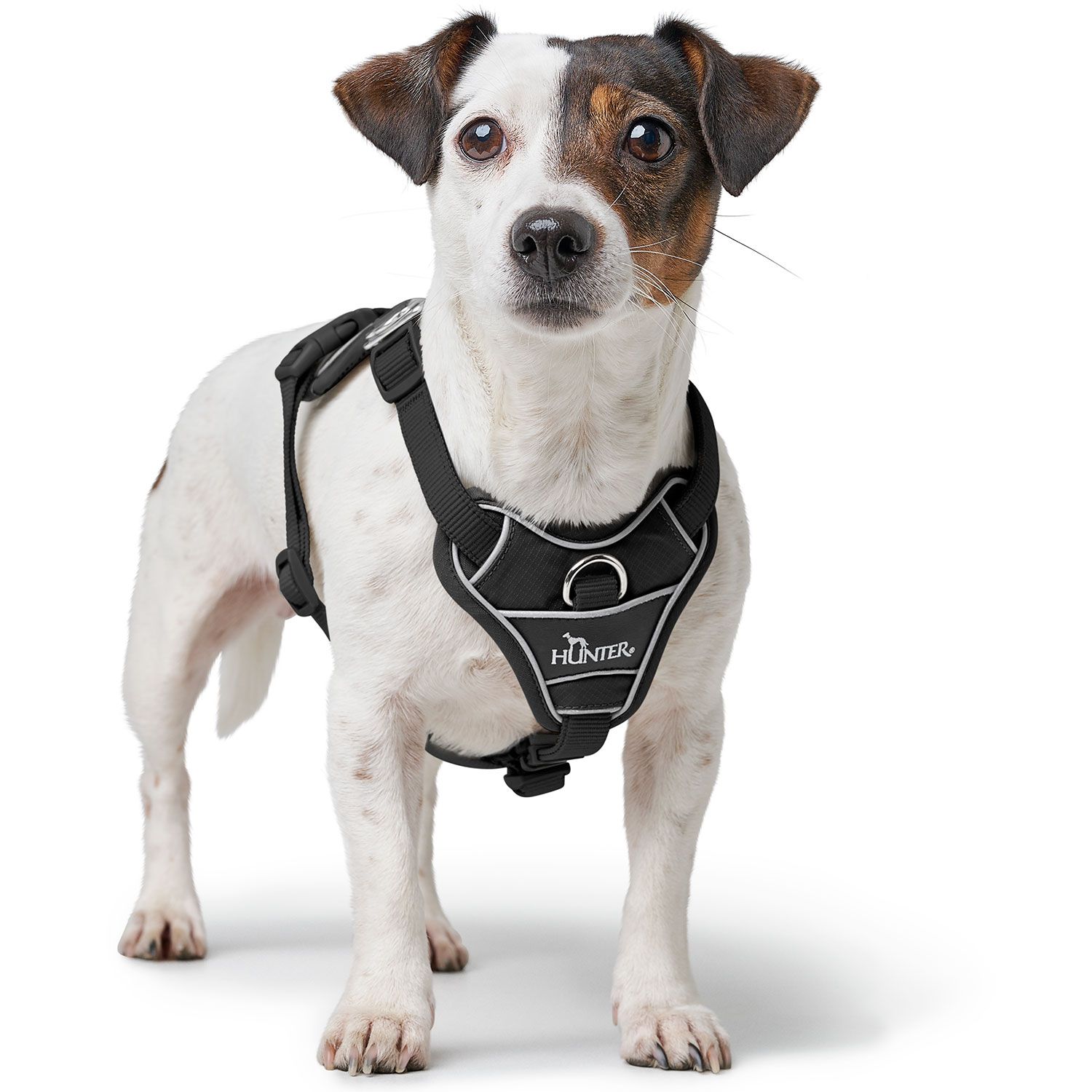 Hunter Harness Divo Up Polyester Black - various sizes - 5