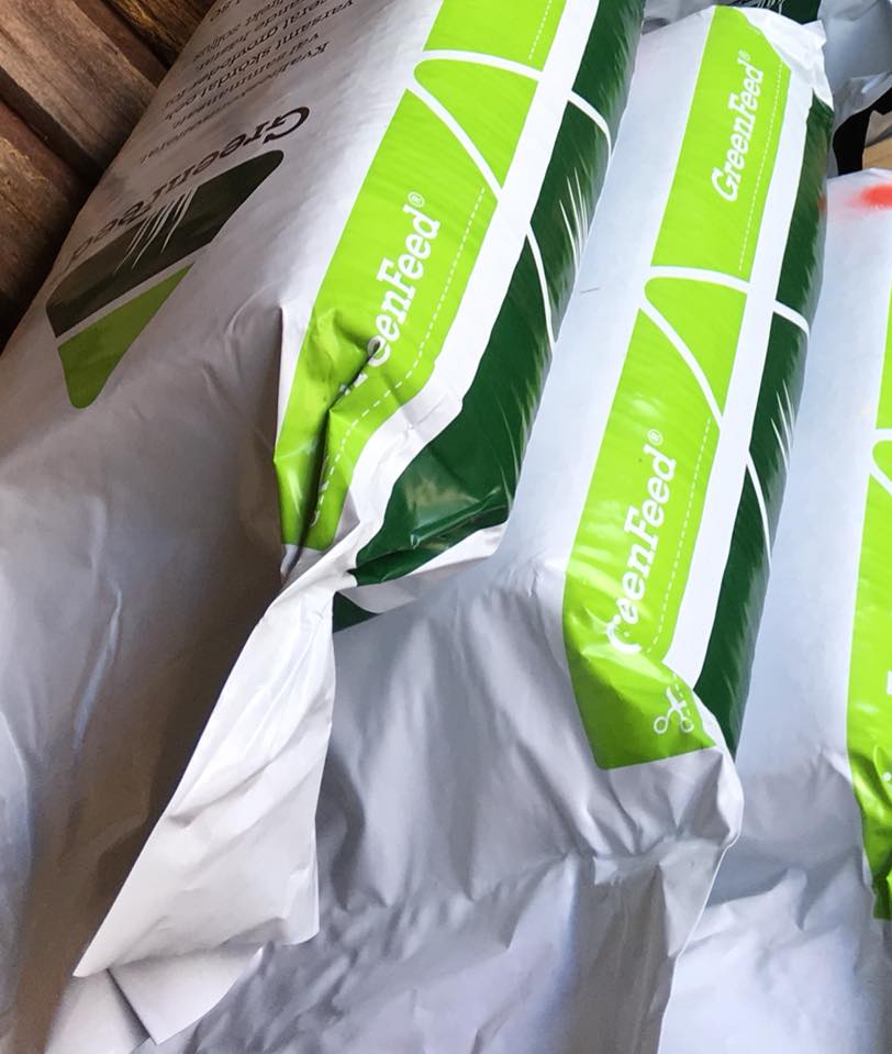 Green Feed - Bas - 2