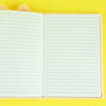 Notebook Fluffy Bunny - Robetoy