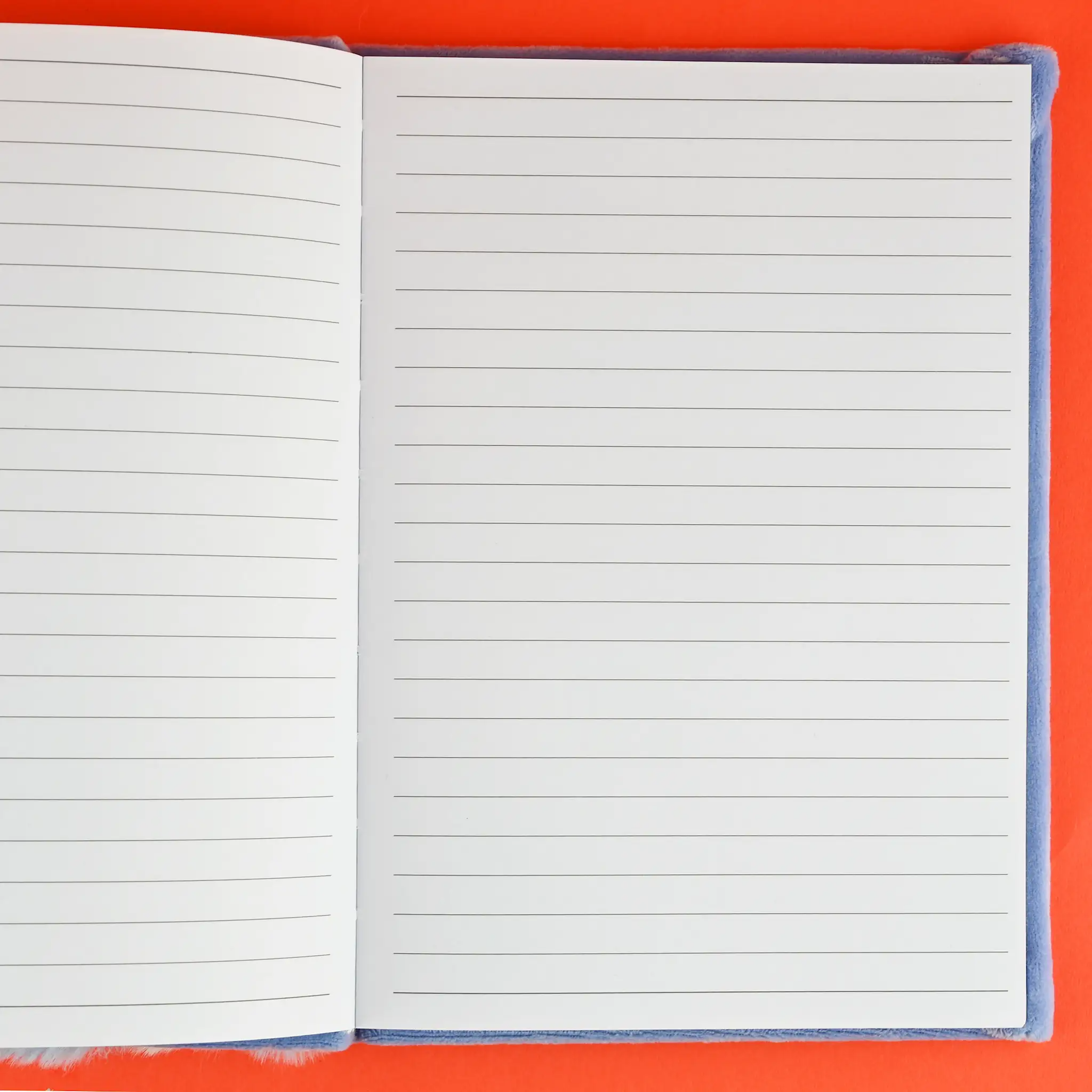 Notebook Fluffy Racoon - Robetoy - 2