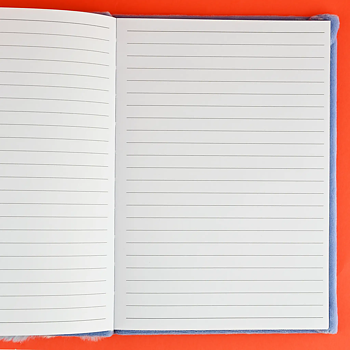 Notebook Fluffy Racoon - Robetoy