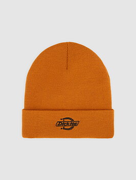 Dickies mössa summerdale pumpkin spice