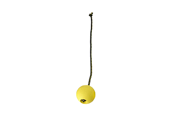 Ball 7cm Foam rubber - Dingo